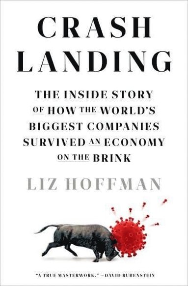 bokomslag Hoffman, L: Crash Landing