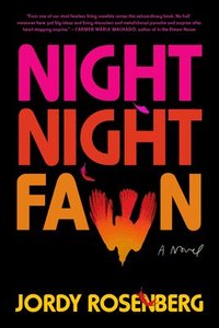 bokomslag Night Night Fawn