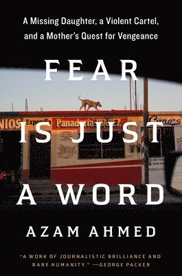 Fear Is Just a Word: A Missing Daughter, a Violent Cartel, and a Mother's Quest for Vengeance 1