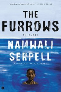 bokomslag The Furrows: A Novel