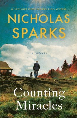 bokomslag Counting Miracles