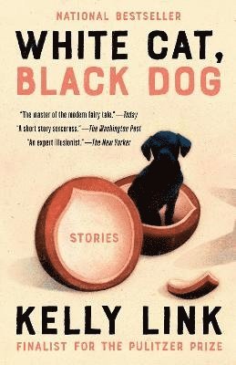 bokomslag White Cat, Black Dog