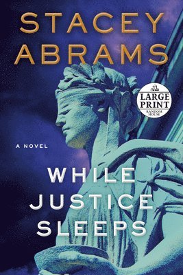 bokomslag While Justice Sleeps