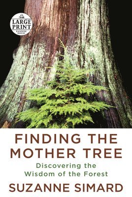 Suzanne Simard - Finding the Mother Tree: Discovering the Wisdom of the Forest, Häftad