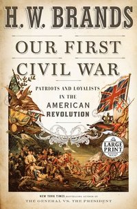bokomslag Our First Civil War