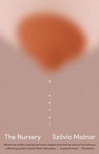 bokomslag The Nursery: A Novel