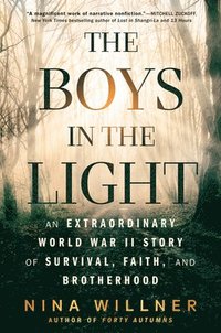 bokomslag The Boys in the Light