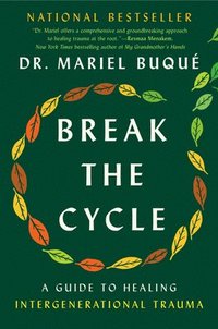bokomslag Break the Cycle: A Guide to Healing Intergenerational Trauma
