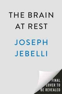 bokomslag The Brain at Rest: How the Art and Science of Doing Nothing Has the Power to Improve Your Life