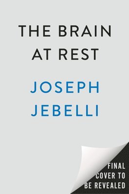 The Brain at Rest: How the Art and Science of Doing Nothing Has the Power to Improve Your Life 1