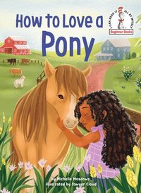 bokomslag How to Love a Pony