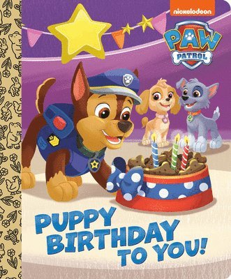 Tex Huntley - Puppy Birthday to You! (Paw Patrol), Kartonnage