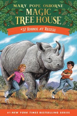 Rhinos at Recess 1