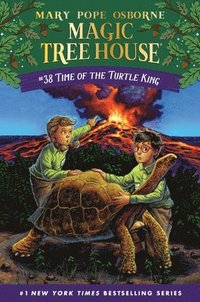 bokomslag Time of the Turtle King