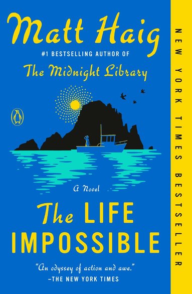 Matt Haig - The Life Impossible, Häftad