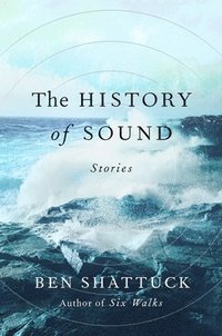 bokomslag The History of Sound