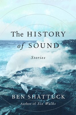 bokomslag The History of Sound
