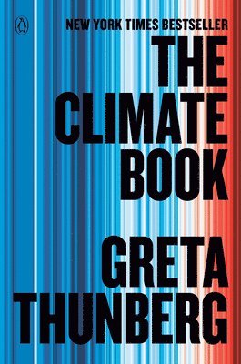 bokomslag The Climate Book