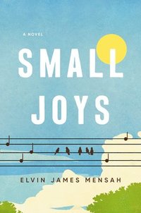 bokomslag Small Joys