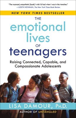 bokomslag The Emotional Lives of Teenagers