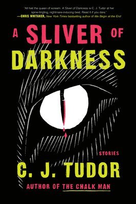 A Sliver of Darkness: Stories 1