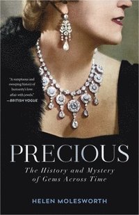bokomslag Precious: The History and Mystery of Gems Across Time