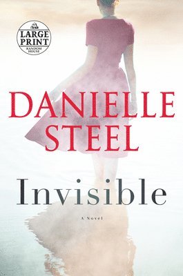 bokomslag Invisible