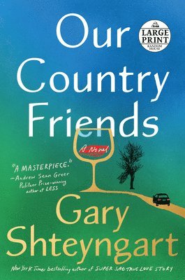 Gary Shteyngart - Our Country Friends, Häftad