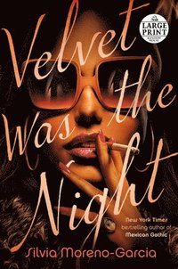 bokomslag Velvet Was the Night