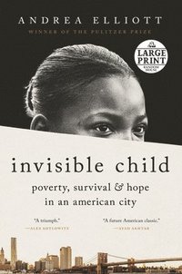 bokomslag Invisible Child