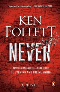 bokomslag Never: A Novel