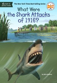 bokomslag What Were the Shark Attacks of 1916?