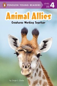 bokomslag Animal Allies: Creatures Working Together