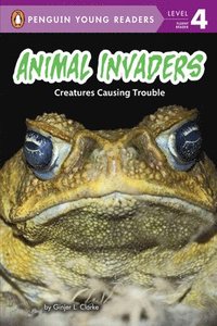 bokomslag Animal Invaders: Creatures Causing Trouble