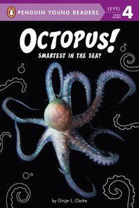 bokomslag Clarke, G: Octopus!