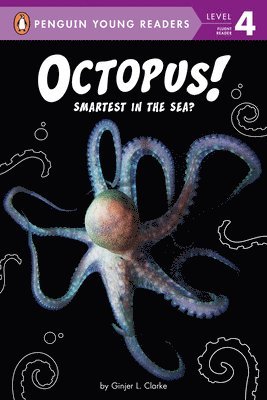 bokomslag Clarke, G: Octopus!