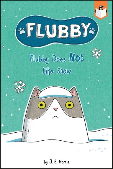 bokomslag Flubby Does Not Like Snow