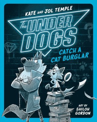 bokomslag The Underdogs Catch a Cat Burglar