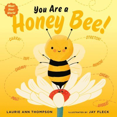 You Are a Honey Bee! 1