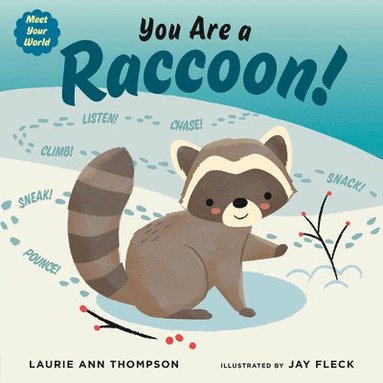 bokomslag You Are a Raccoon!