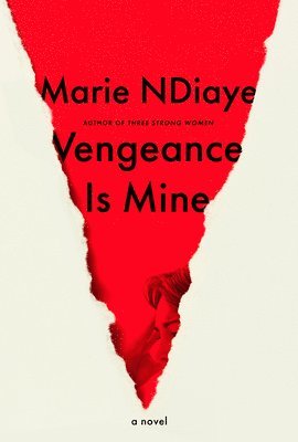 bokomslag Ndiaye, M: Vengeance Is Mine