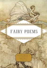 bokomslag Fairy Poems