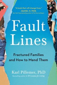 bokomslag Fault Lines: Fractured Families and How to Mend Them