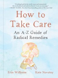 bokomslag How to Take Care