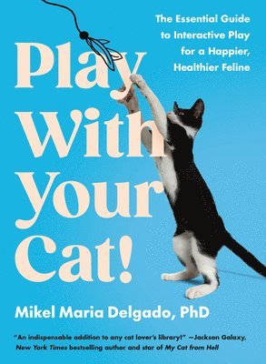 bokomslag Play with Your Cat!: The Essential Guide to Interactive Play for a Happier, Healthier Feline