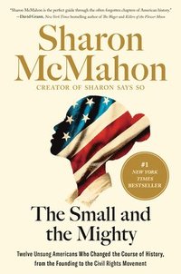 bokomslag The Small and the Mighty: Twelve Unsung Americans Who Changed the Course of History, from the Founding to the Civil Rights Movement