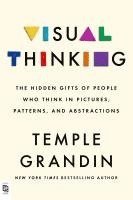 bokomslag Visual Thinking