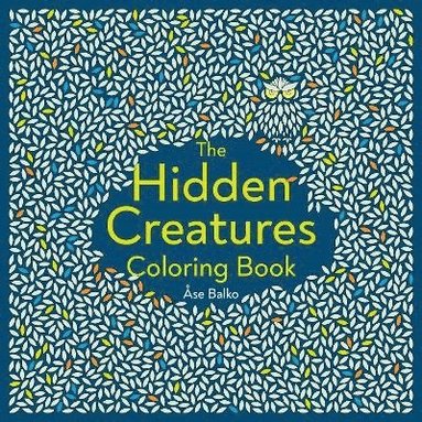 bokomslag Hidden Creatures Coloring Book