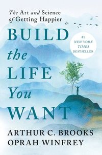 bokomslag Build the Life You Want