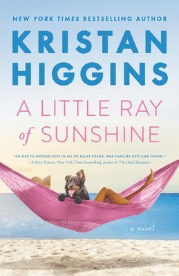 Kristan Higgins - Little Ray of Sunshine, Häftad